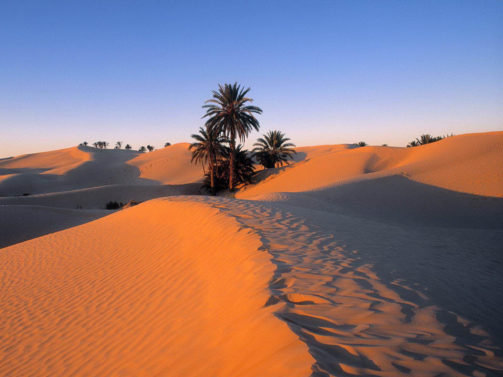 Sahara Desert 2
