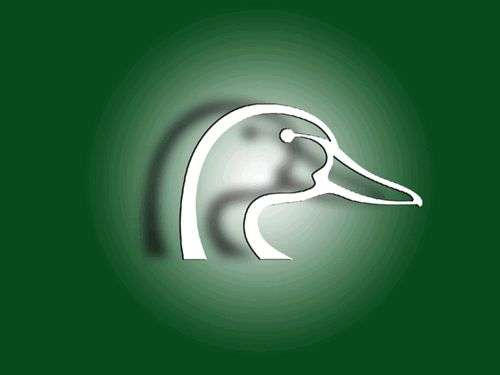 Ducks Unlimited Background Myspace