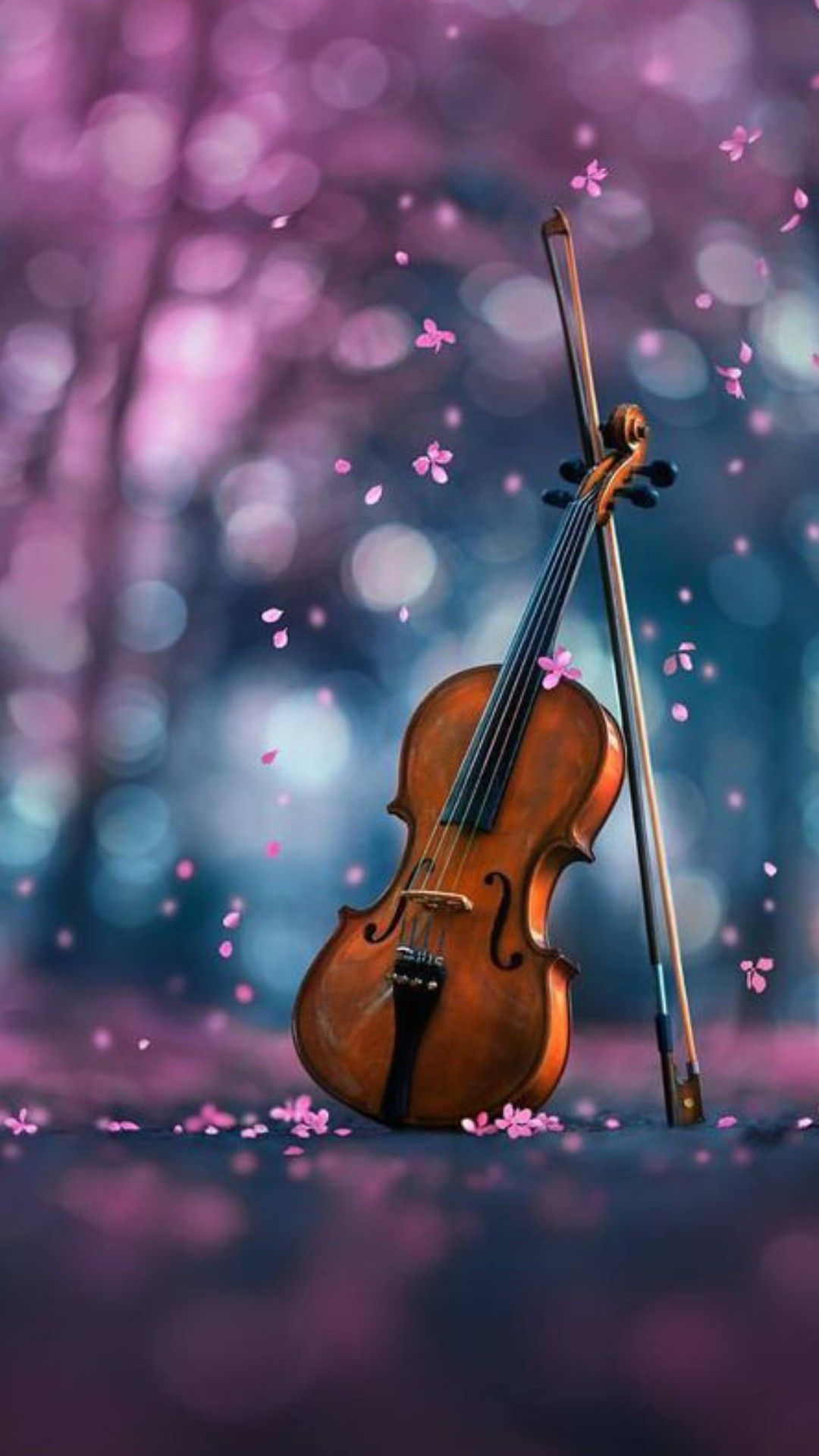 Violin Wallpaper HD