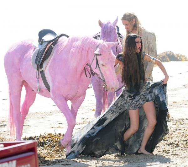 Rock Forever Magazine Peta Selena Gomez S Pink Horses Are Unsafe
