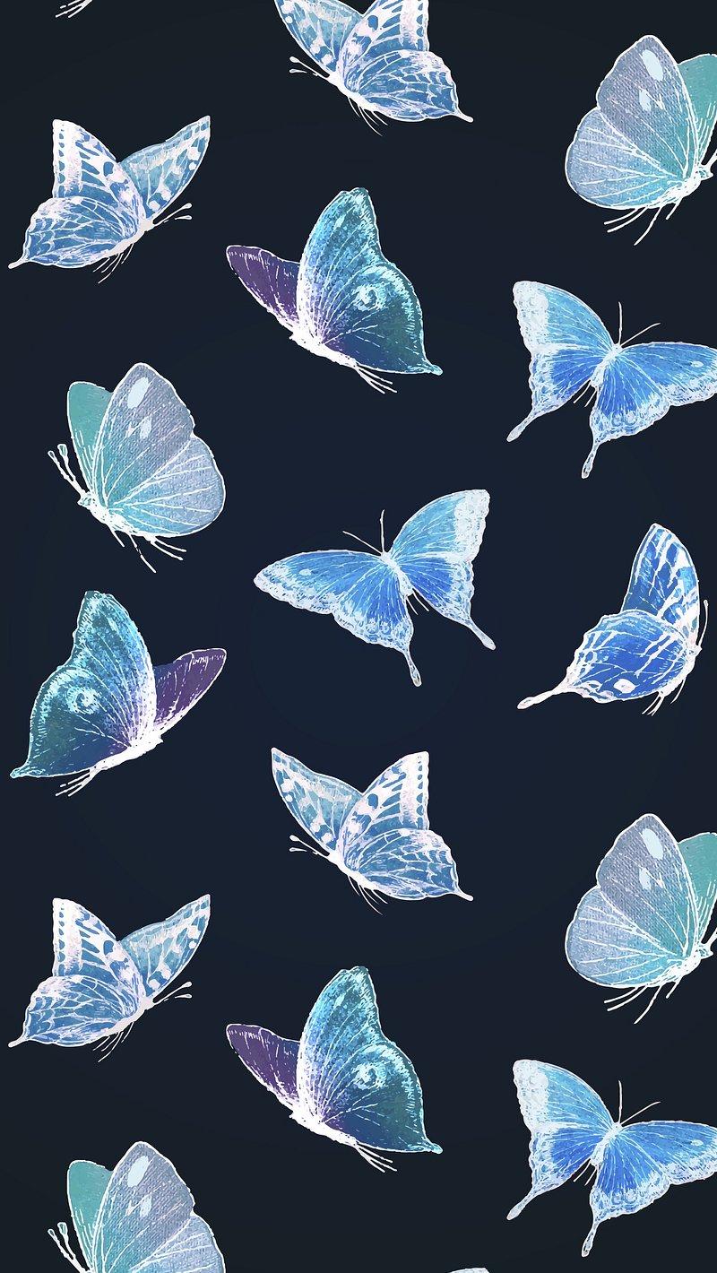 Blue Butterfly Wallpaper Image Photos Png Stickers