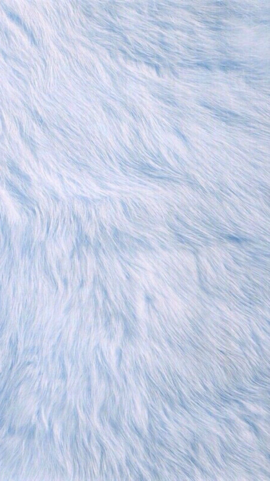 Baby Blue Fur iPhone Wallpaper Feel Me