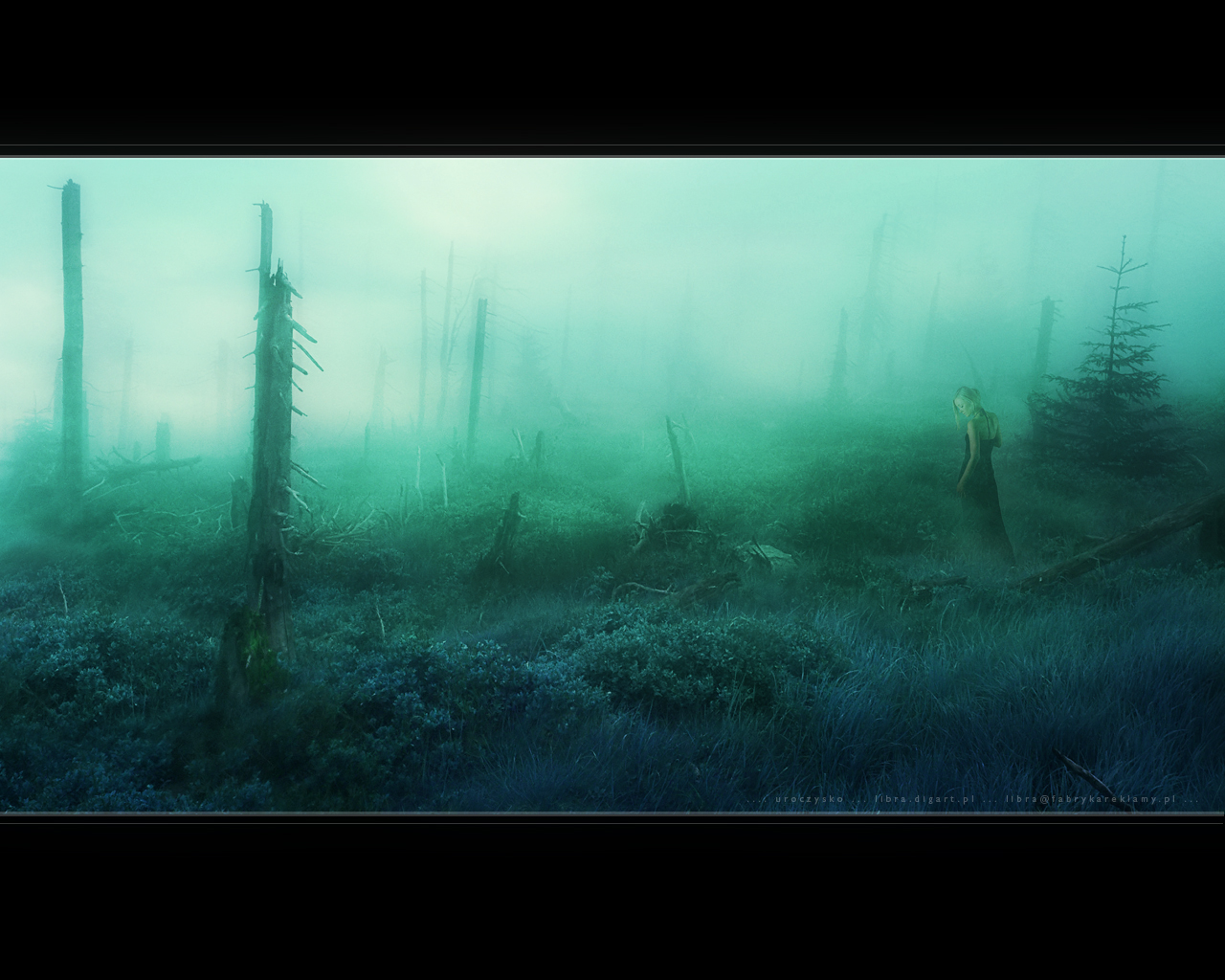 Dreamland Wallpaper By Li Bra