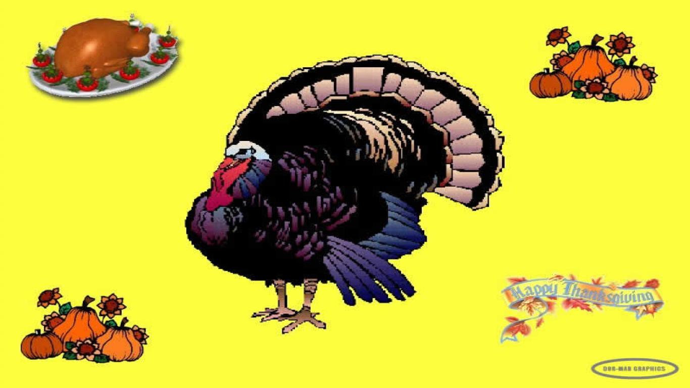Funny Thanksgiving Wallpaper Background Humour