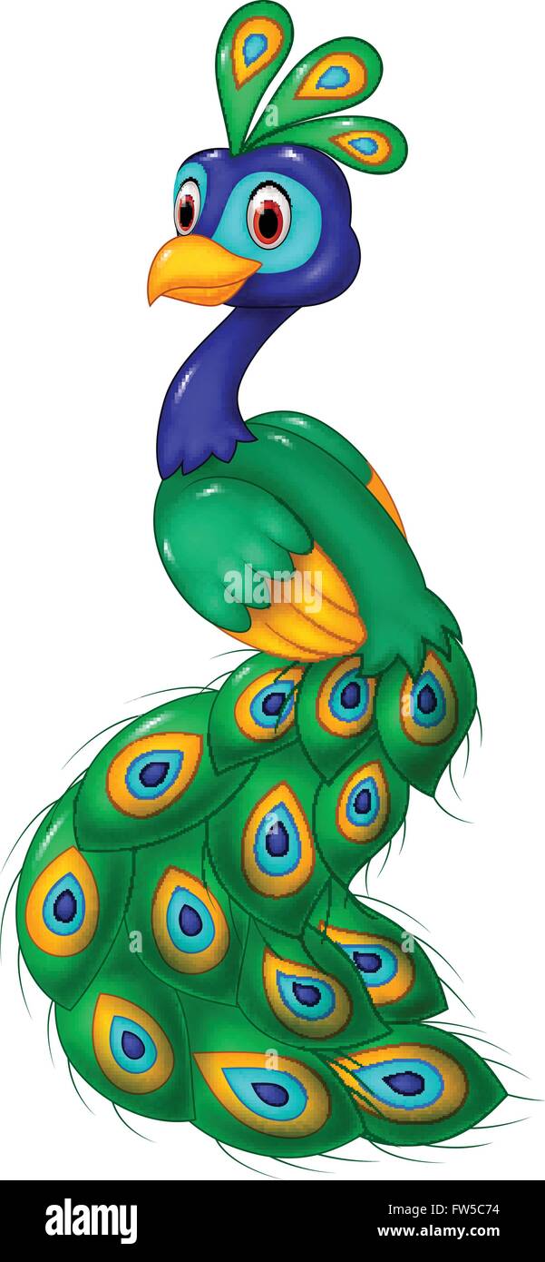 Cartoon Peacock Hi Res Stock Photography And Image