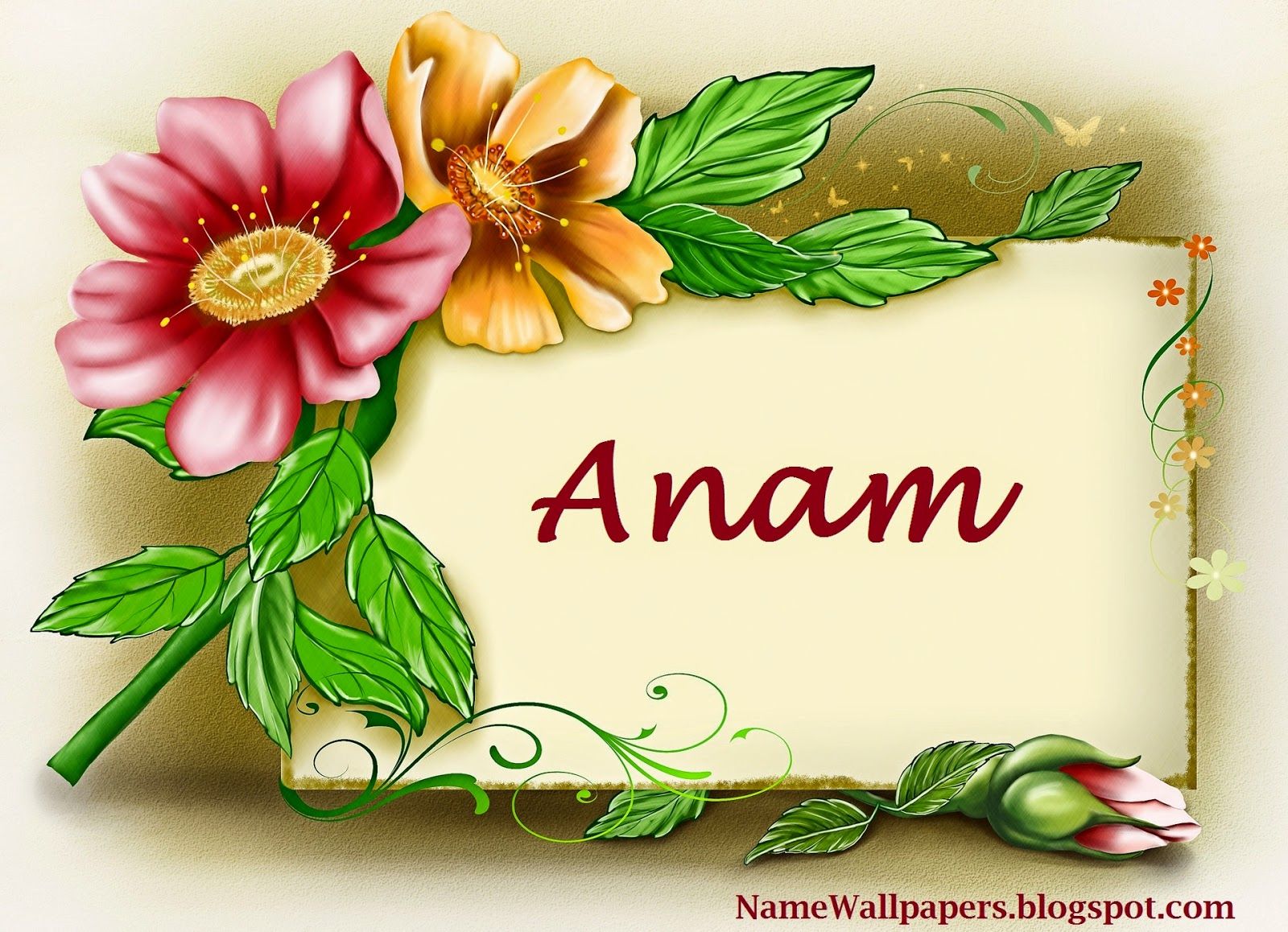 Anam Name Wallpaper