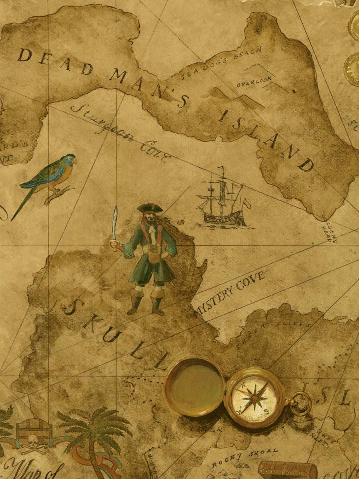 Vintage Pirate Treasure Map Wallpaper   Wall Sticker Outlet