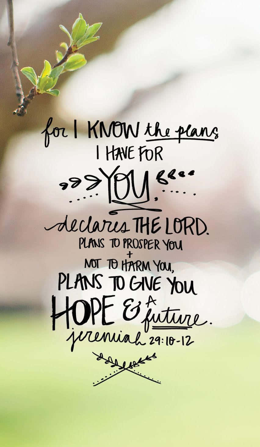 Bible Verse Phone Wallpaper