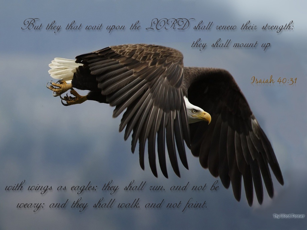 Wings As Eagles Wallpaper Christian And Background