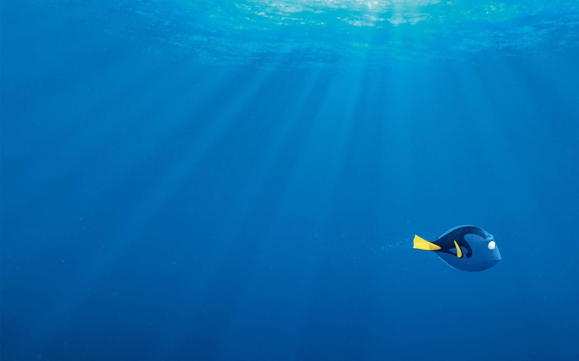 Finding Nemo Wallpaper