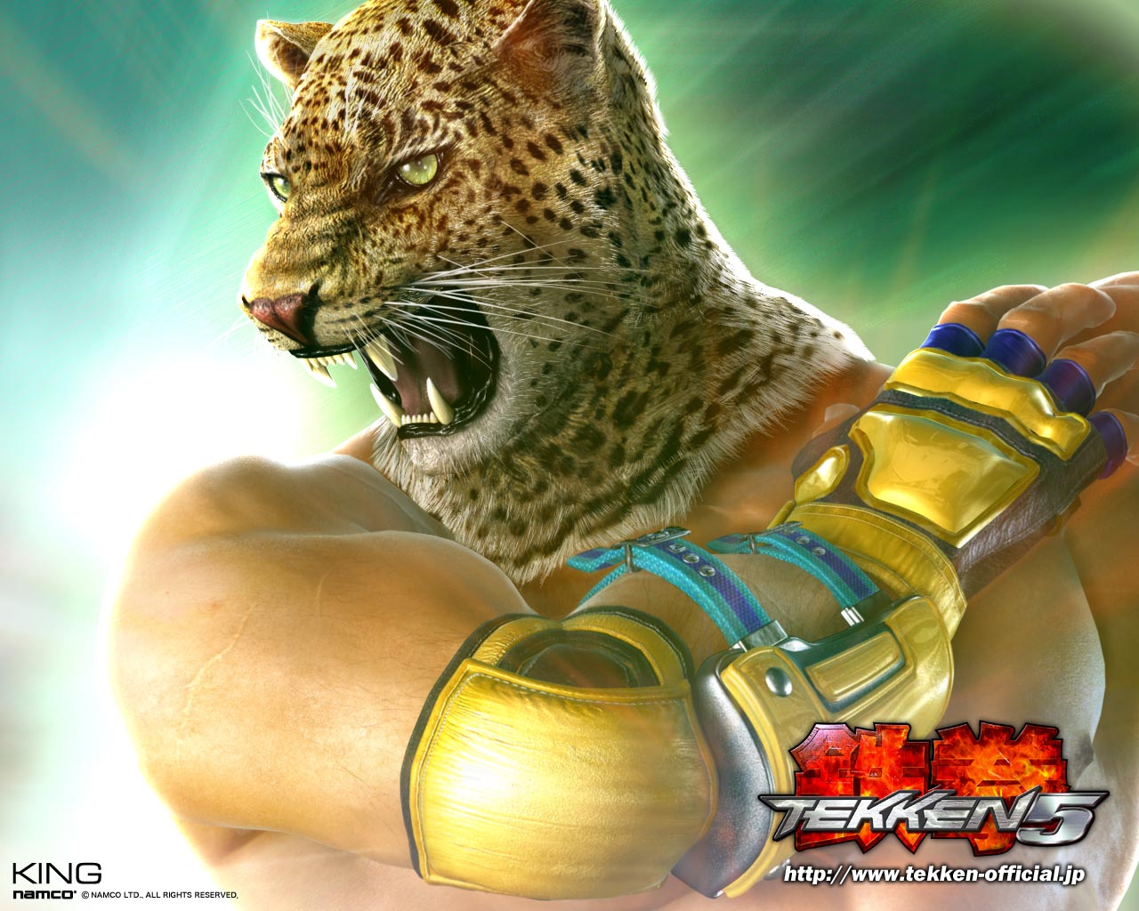 King   Tekken 5