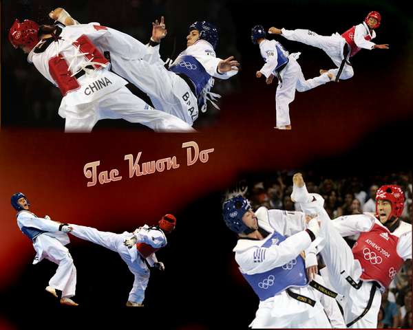 Taekwondo By Jettil