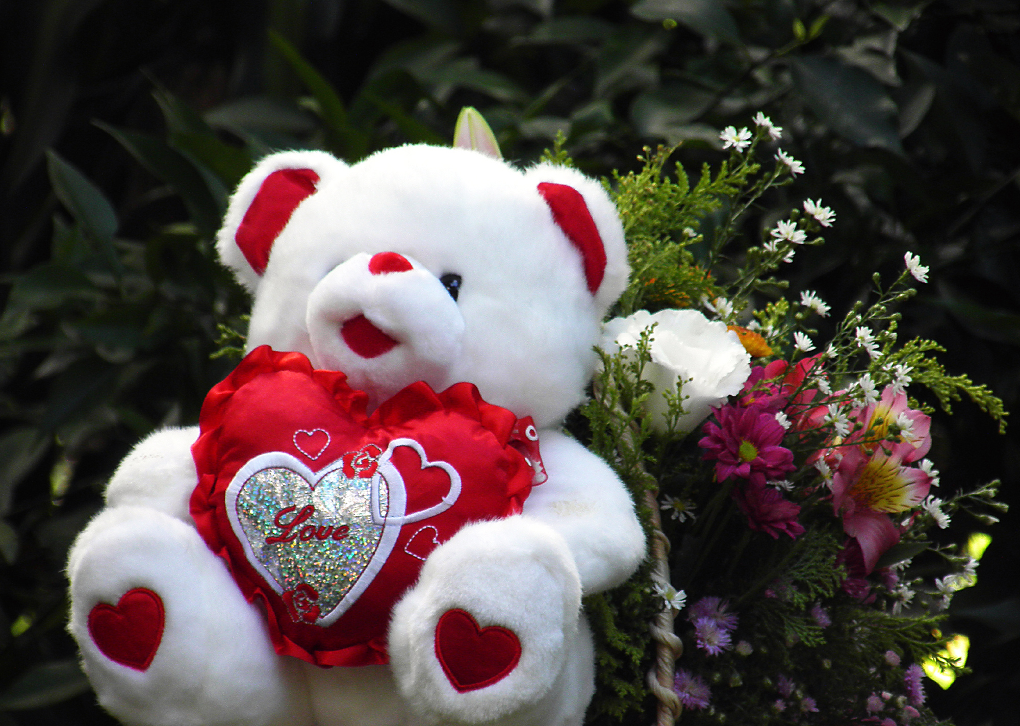 White Teddy Bear Wallpaper HD Image 2000x1423 for Gadget Background