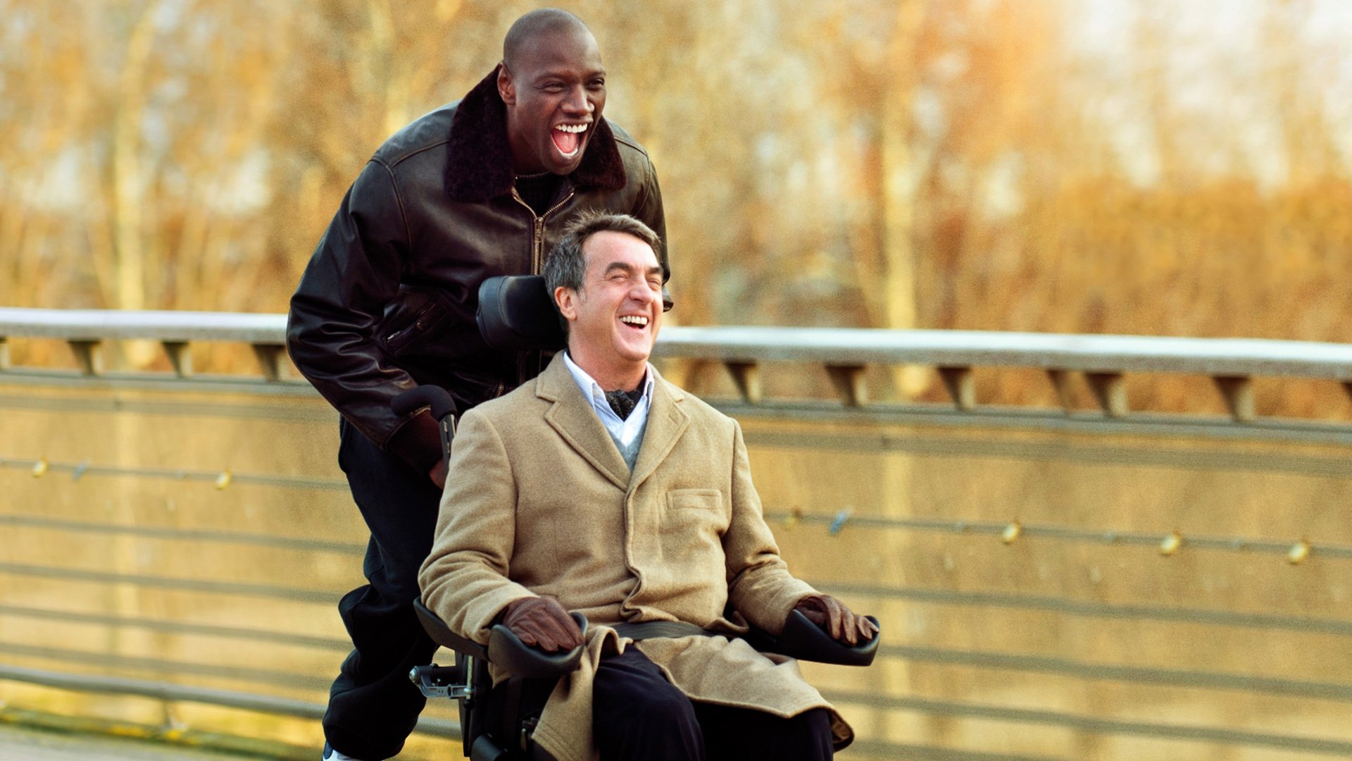 The Intouchables HD Wallpaper Background Image