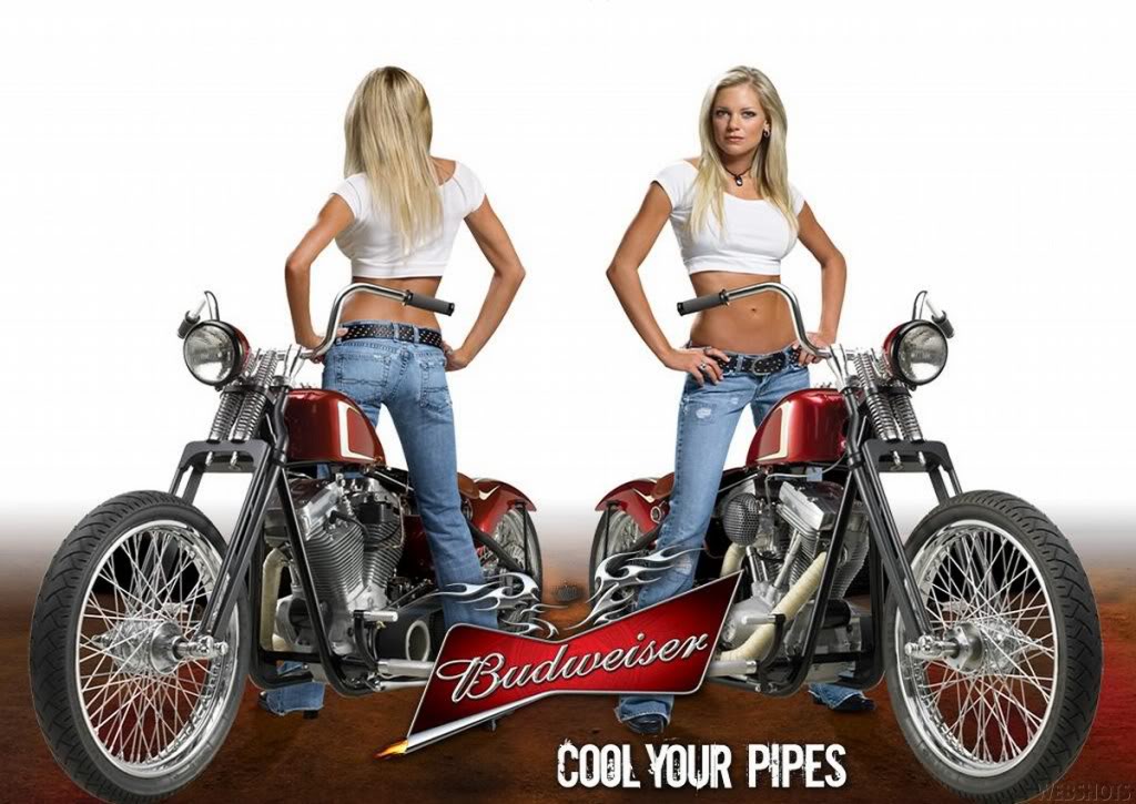Beer Budweiser Motorcycle Myspace Ments Photo Coolyourpipes Jpg