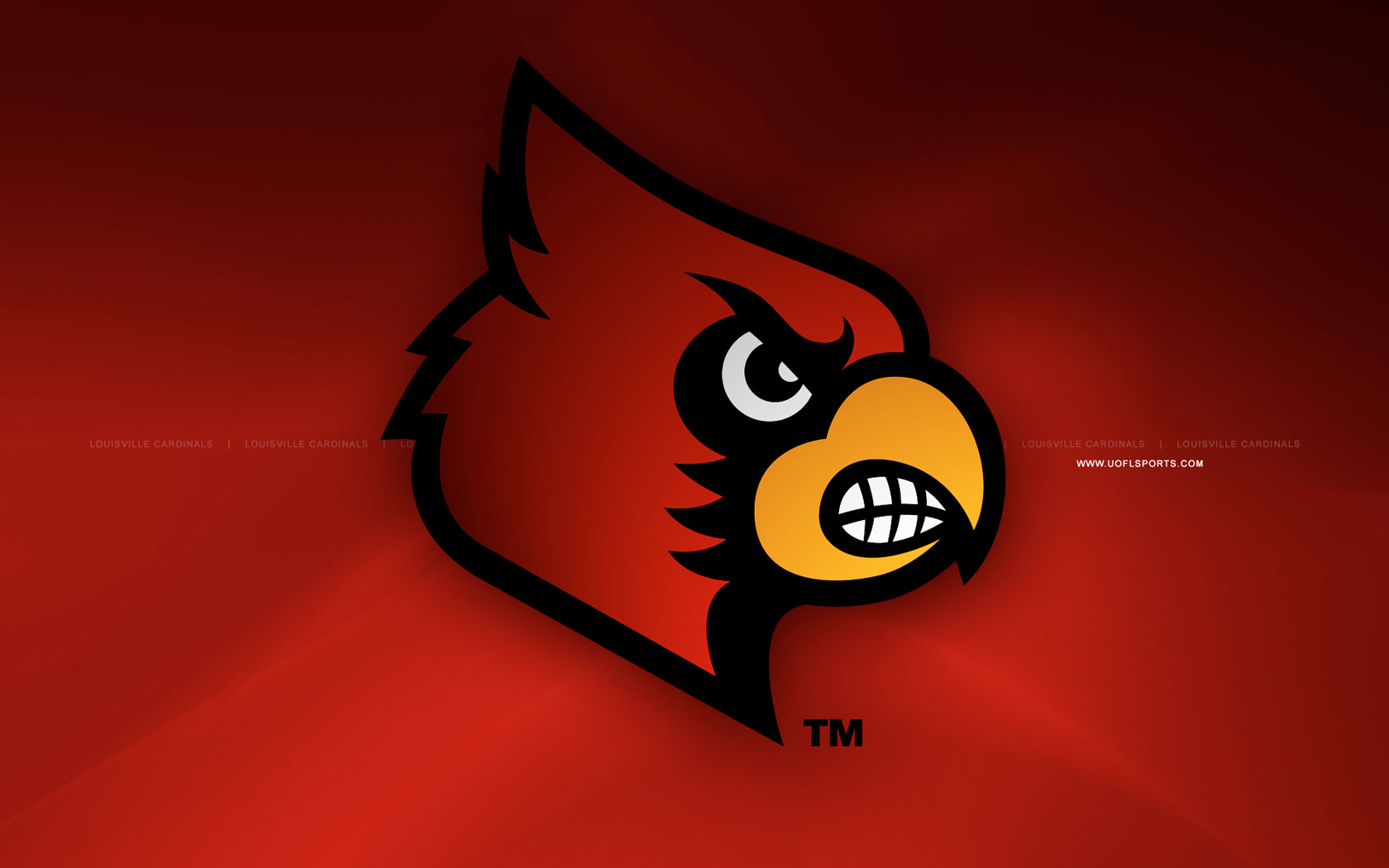 Louisville Cardinals Mascot Wallpaper