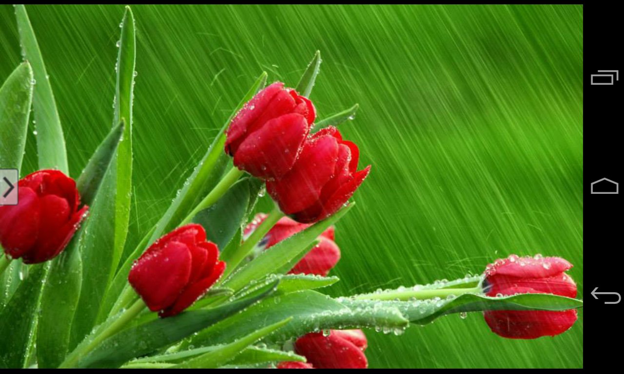 Beautiful Flowers Wallpaper Android Apps On Google Play