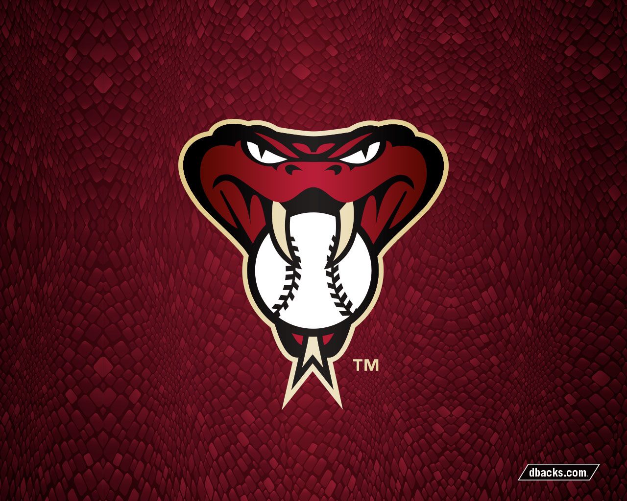 Arizona Diamondbacks Wallpaper Top