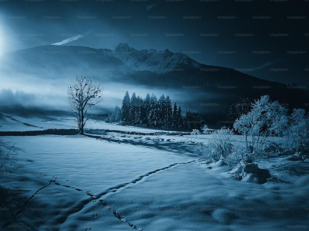 Dark Snow Pictures Image