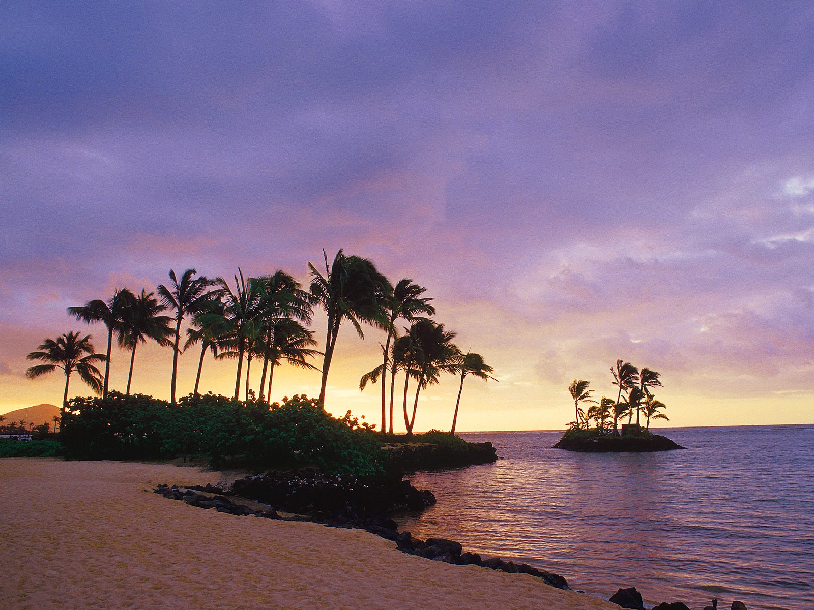 Wallpaper Tropics Beach Clouds Usa Oahu Palm Hawaii Wai Alae