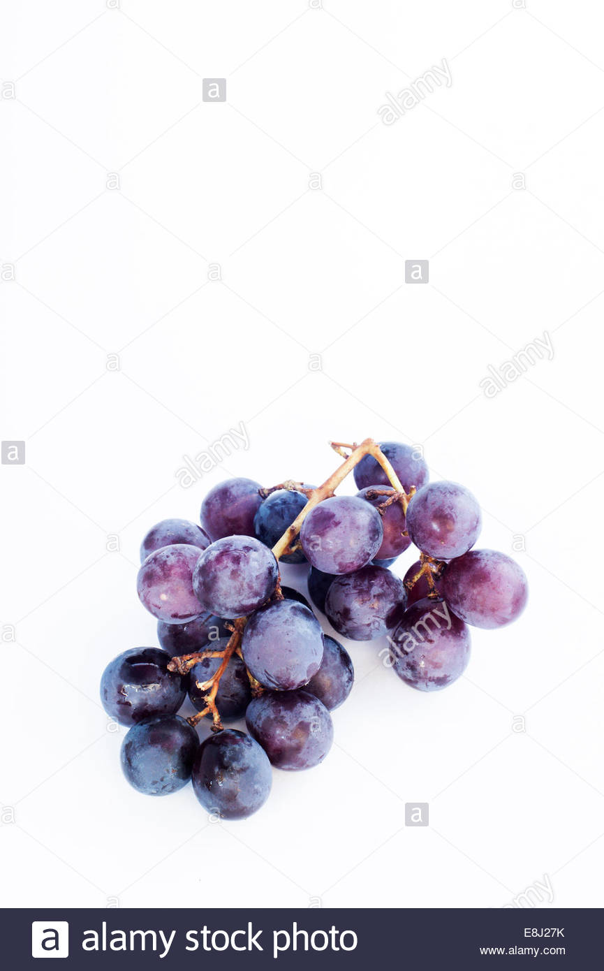 Red Japanese Black Olympia Grapes Isolated On A White Background