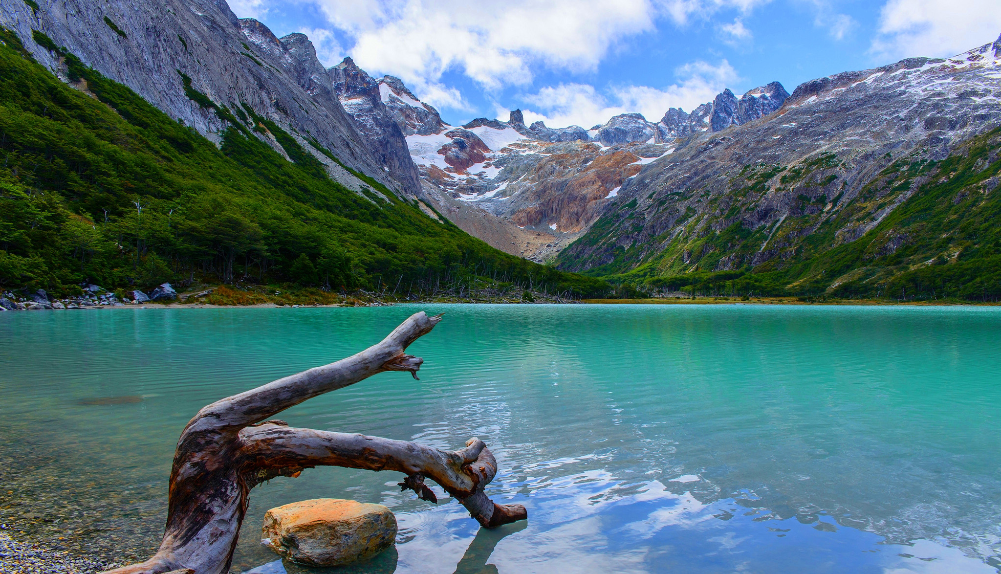 A stunning turquoise lake nestled amidst snow-capped mountains and lush greenery, with a weathered tree branch in the foreground