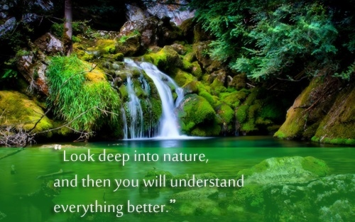 Nature Wallpaper Quotes