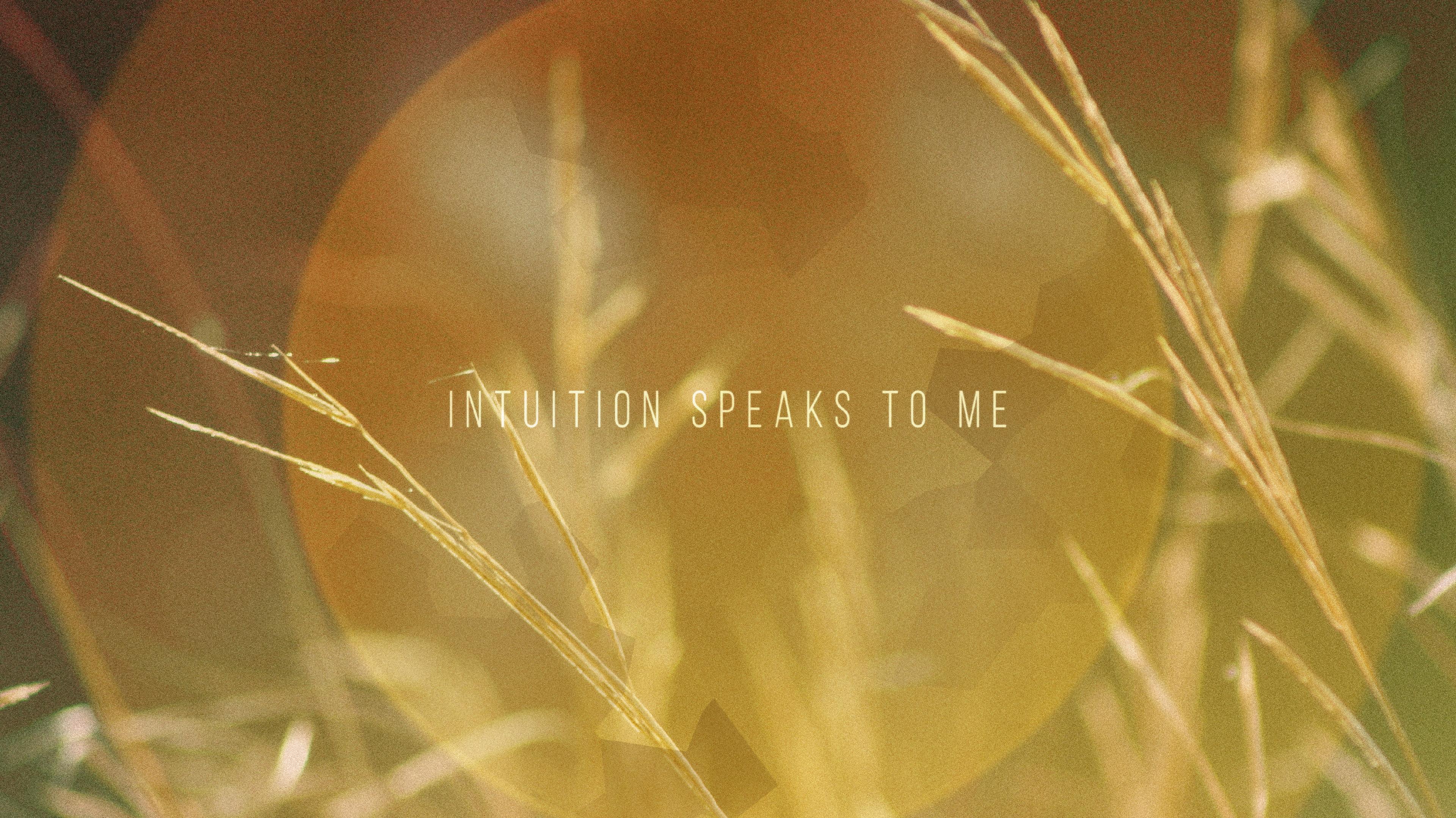 The Contortionist Language I Intuition Wallpaper