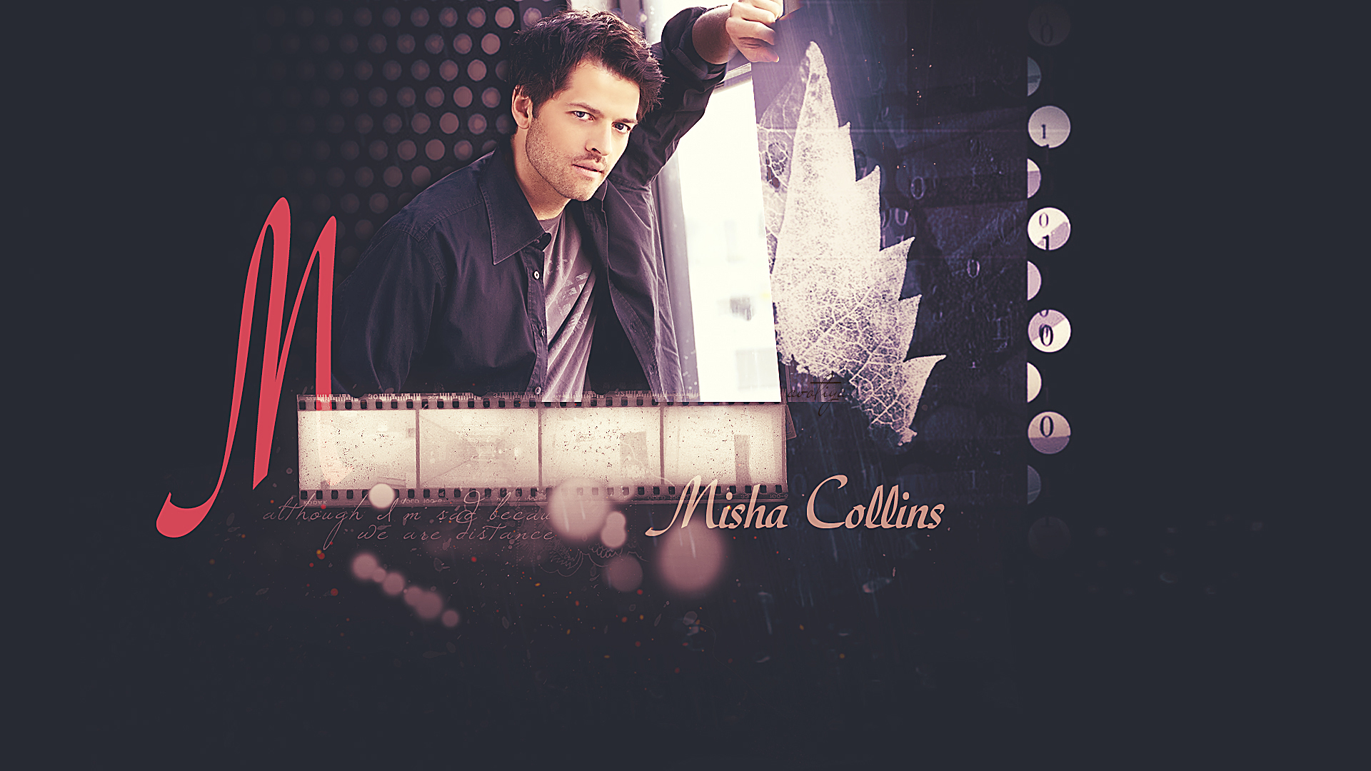 Misha Collins HD Wallpaper