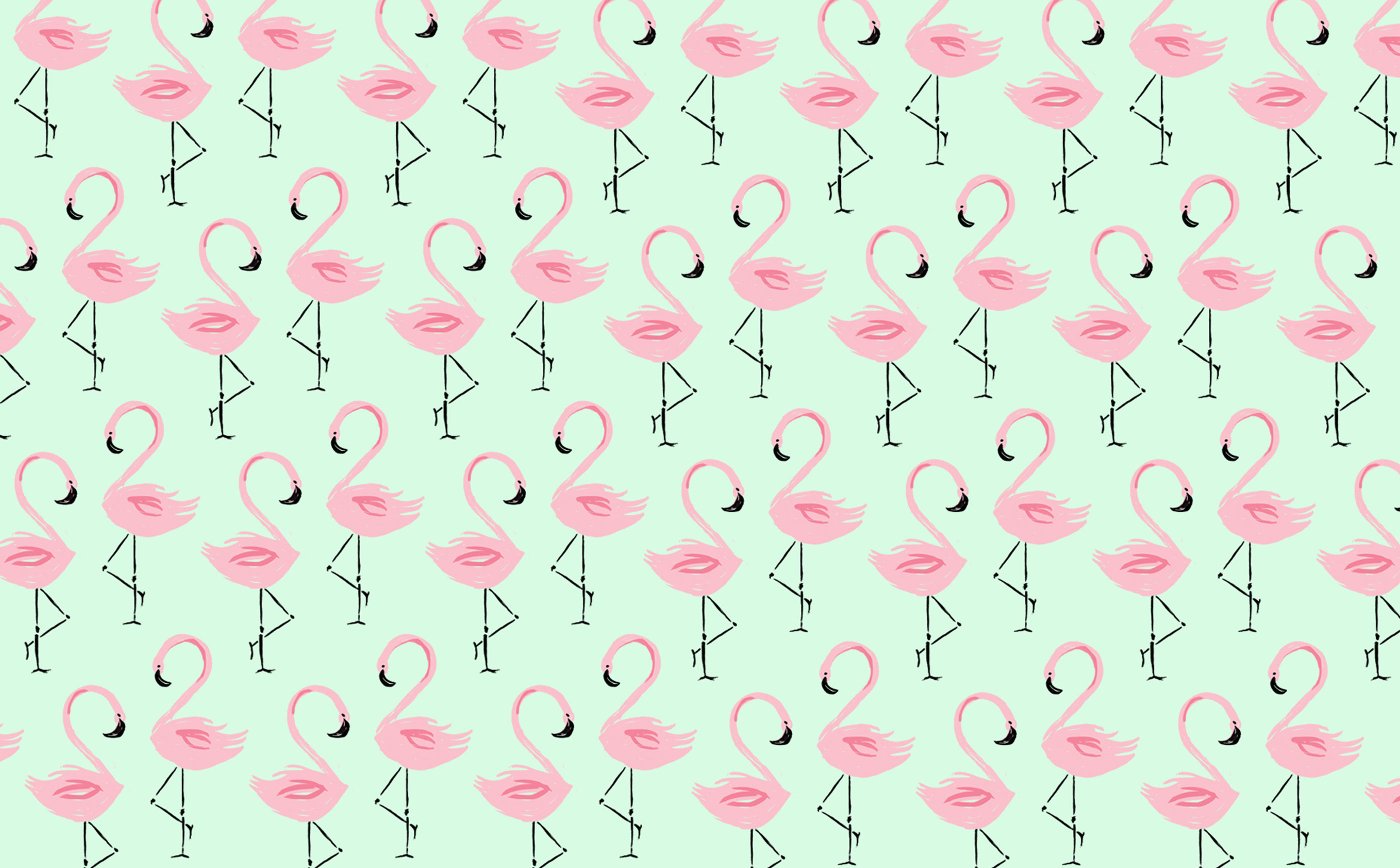Beautiful Flamingo Wallpaper For HD