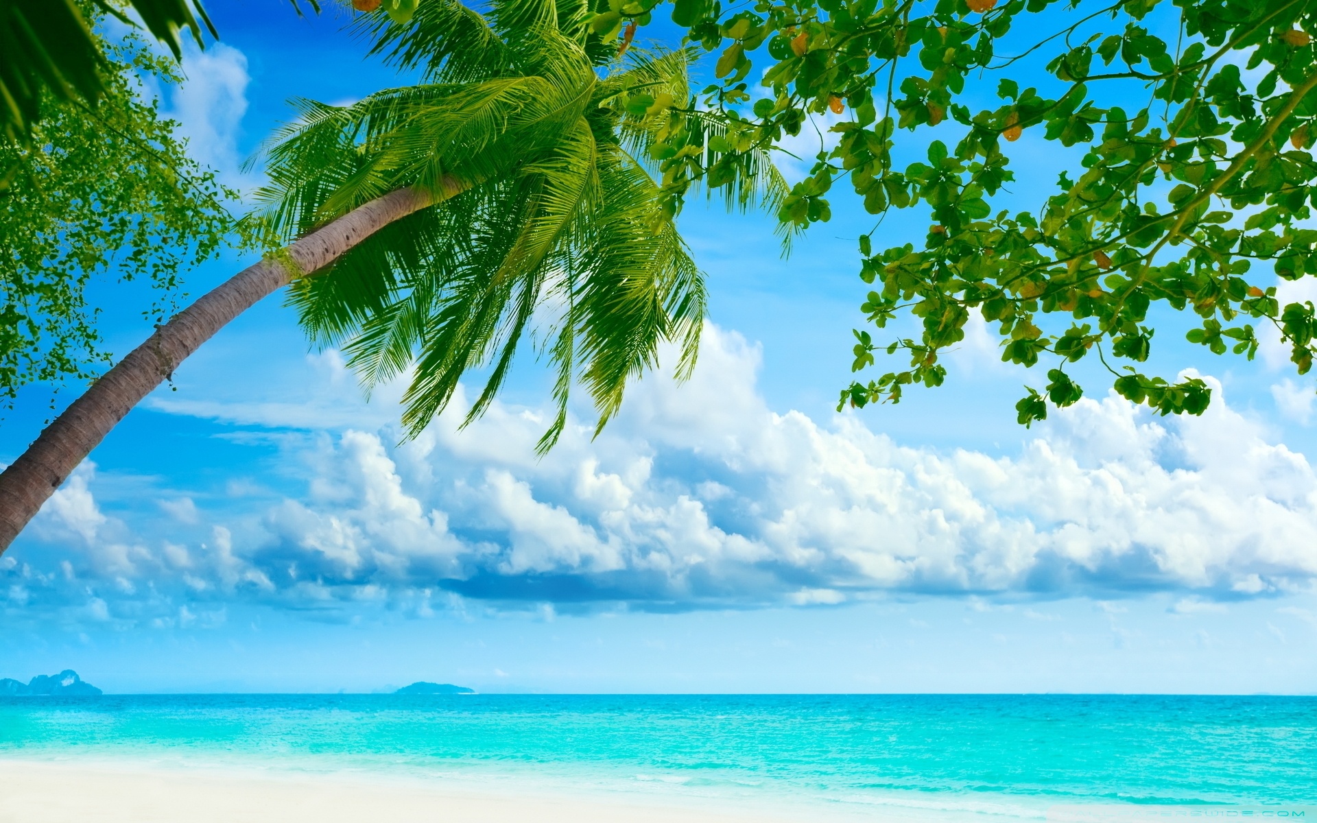 Tropical Beach Resorts 4K HD Desktop Wallpaper for 4K Ultra HD