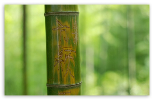 Feng Shui Bamboo Stick HD Desktop Wallpaper High Definition