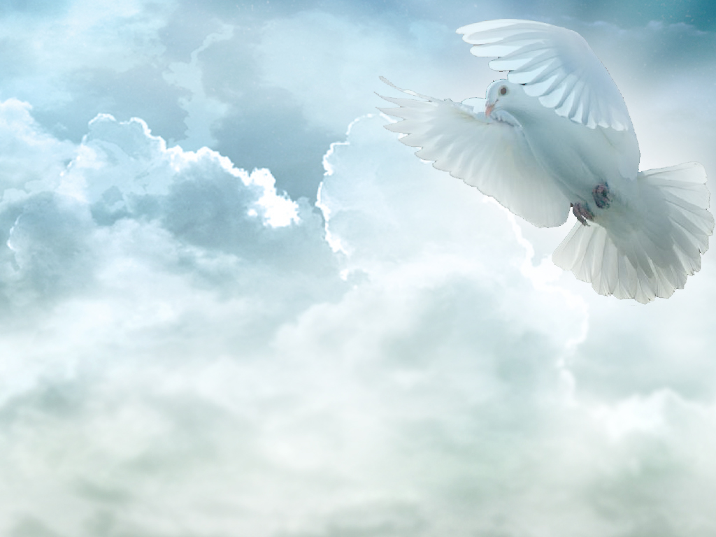 Holy Spirit Dove Pictures Image Photos Live Hd Wallpaper Hq