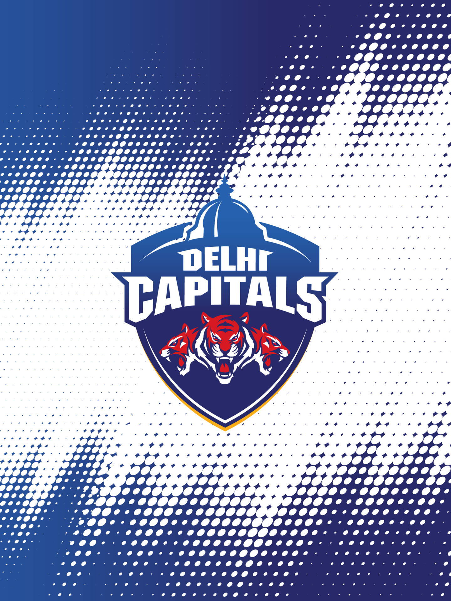 Indian Cricket Team Wallpaper