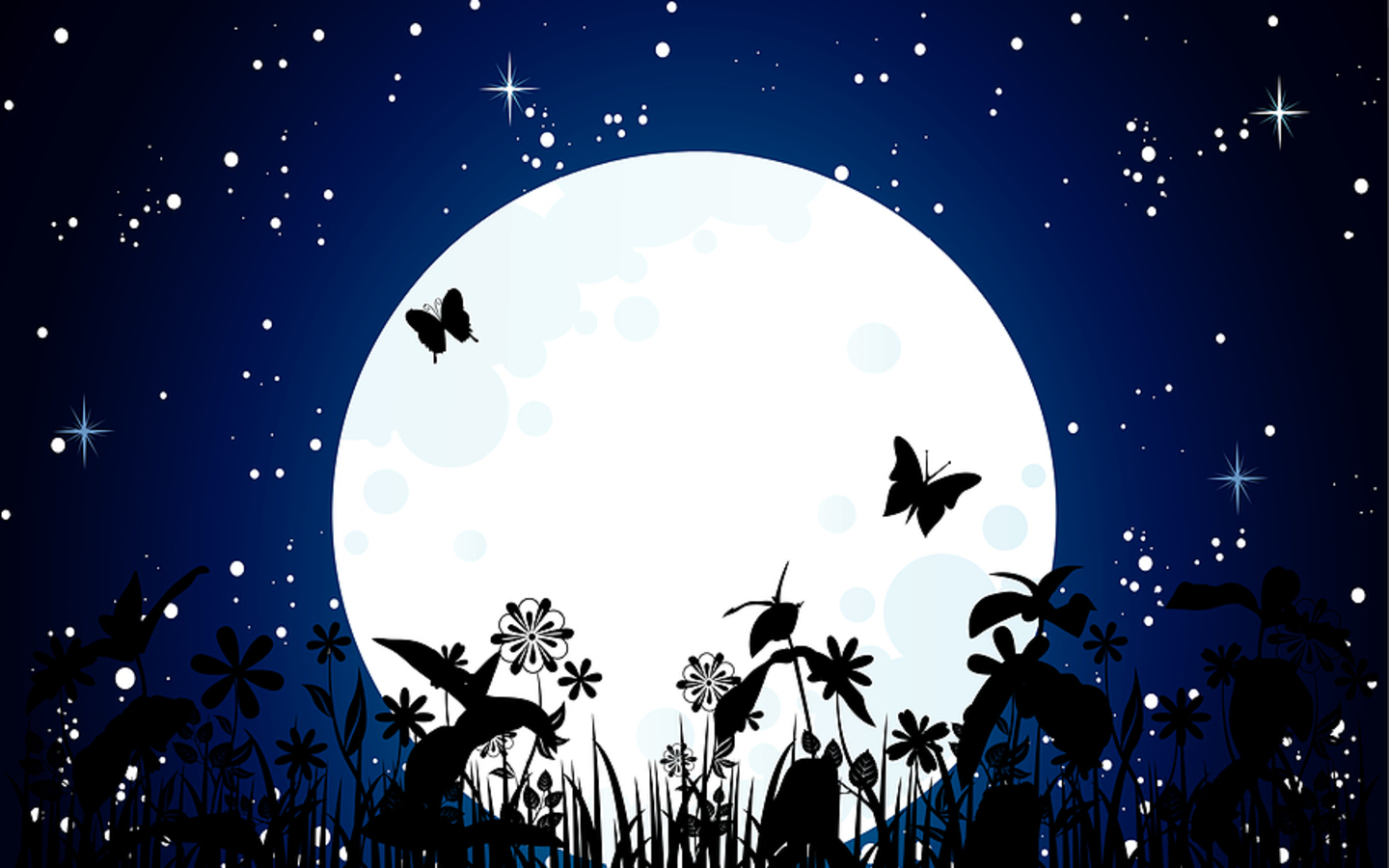 Beauty Moon And Butterfly HD Wallpaper Animation