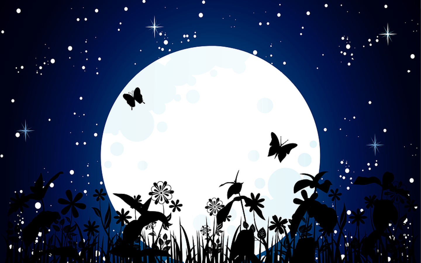 Beauty Moon And Butterfly Hd Wallpaper Animation