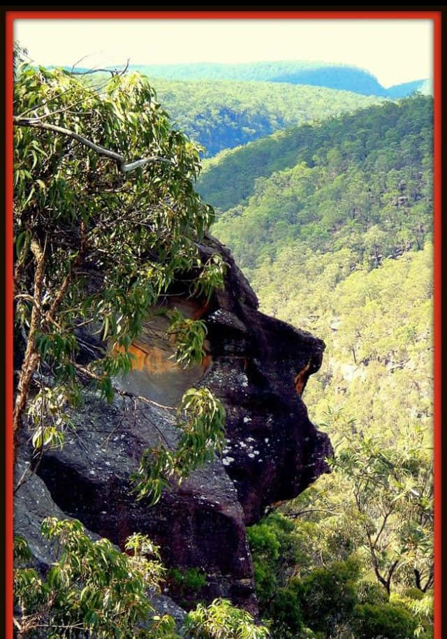 Blue Mountains National Park Wallpaper