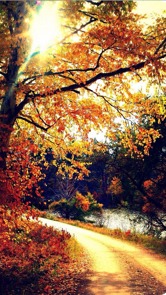 Autumn iPhone Wallpaper