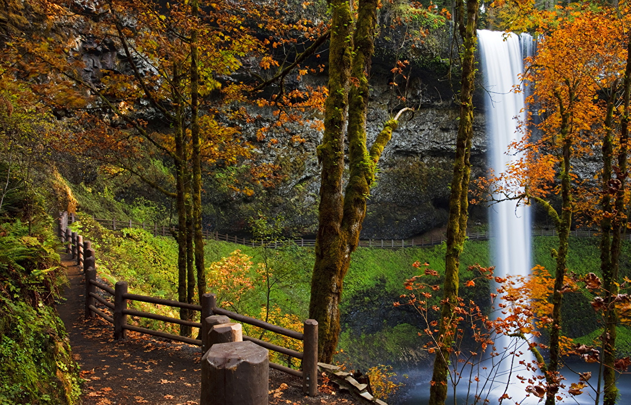 Picture Usa Silver Falls City Oregon Trail Nature Autumn Waterfalls