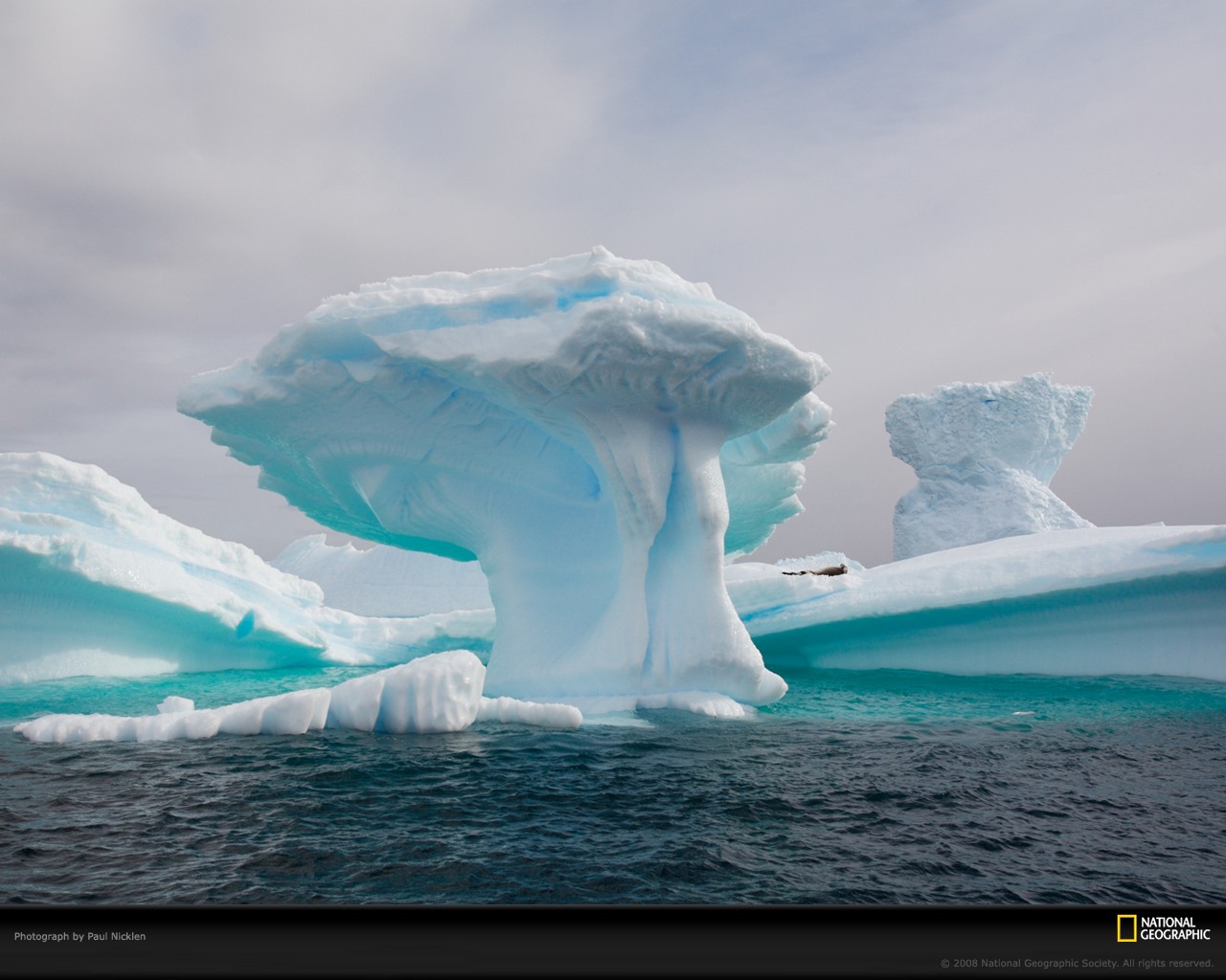 Source Url Frimminjimbits Spot Icebergs Html