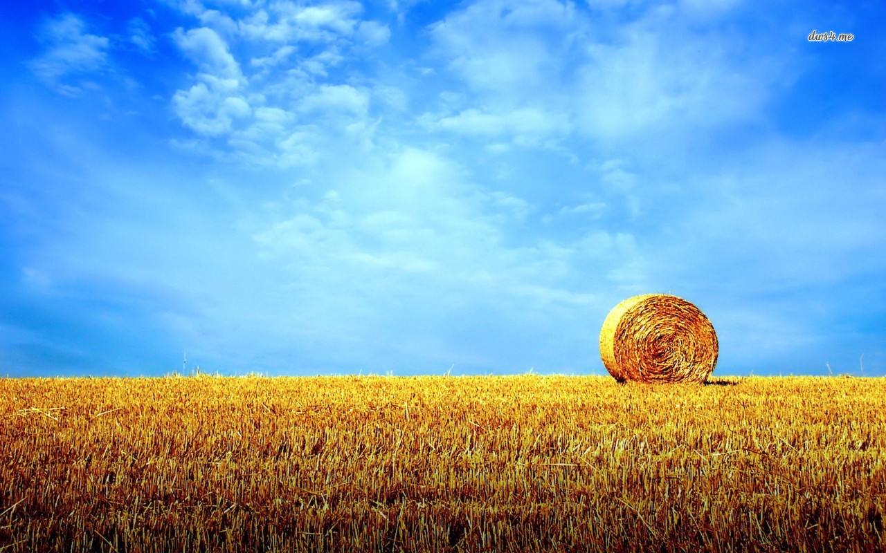 Hay Bale Wallpaper Photography