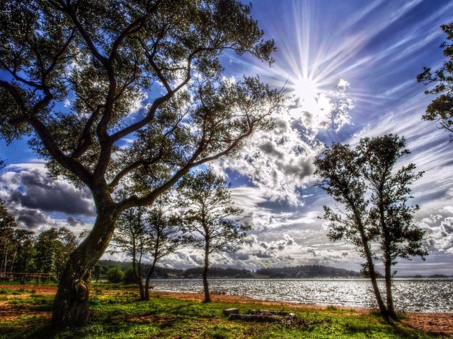 Sunny Summer S Day Wallpaper And Image Pictures