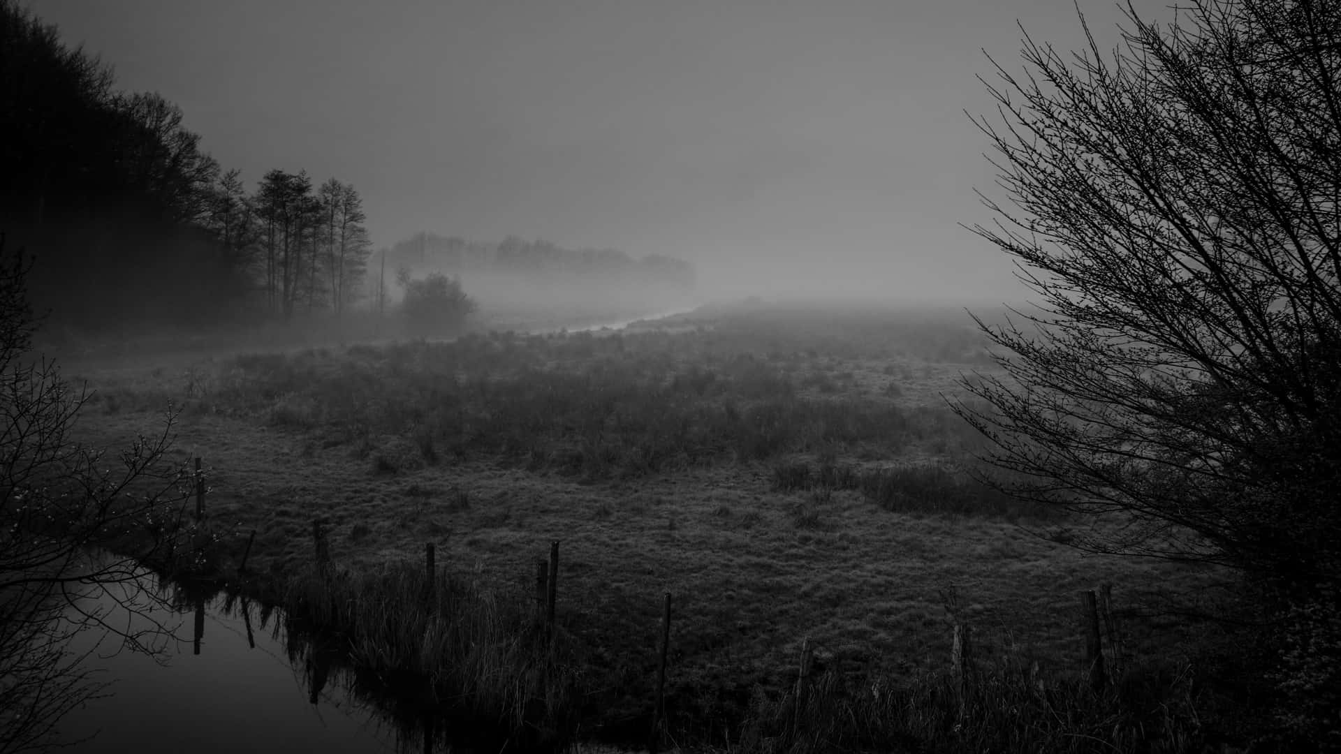 Foggy Background Wallpaper