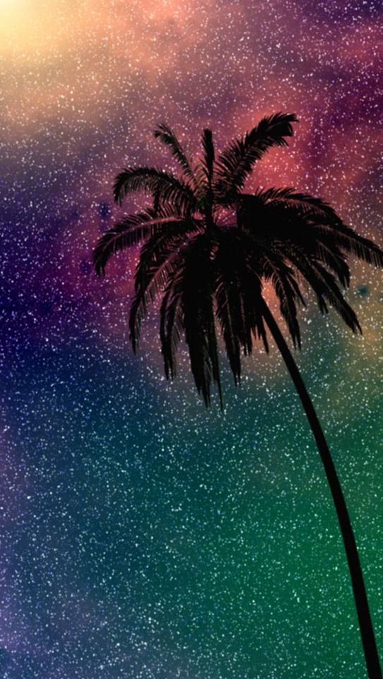 Palm tree iPhone background iPhone Backgrounds Pinterest