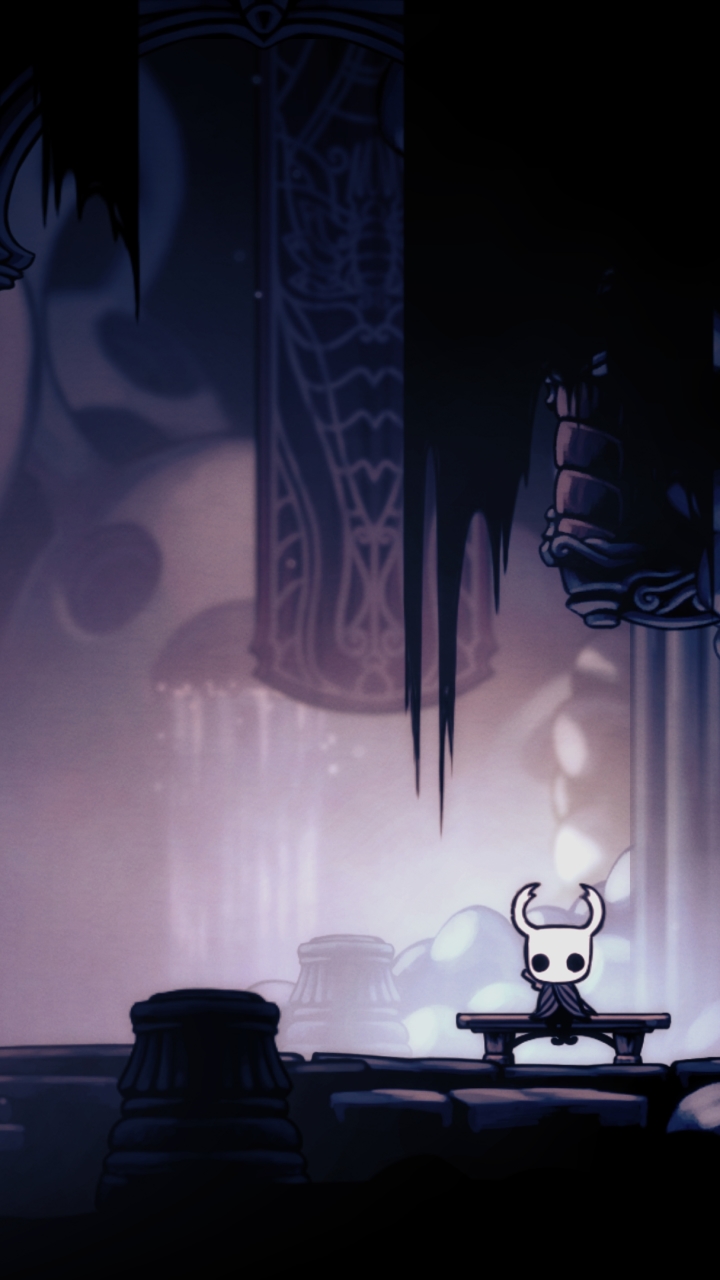 Video Game Hollow Knight