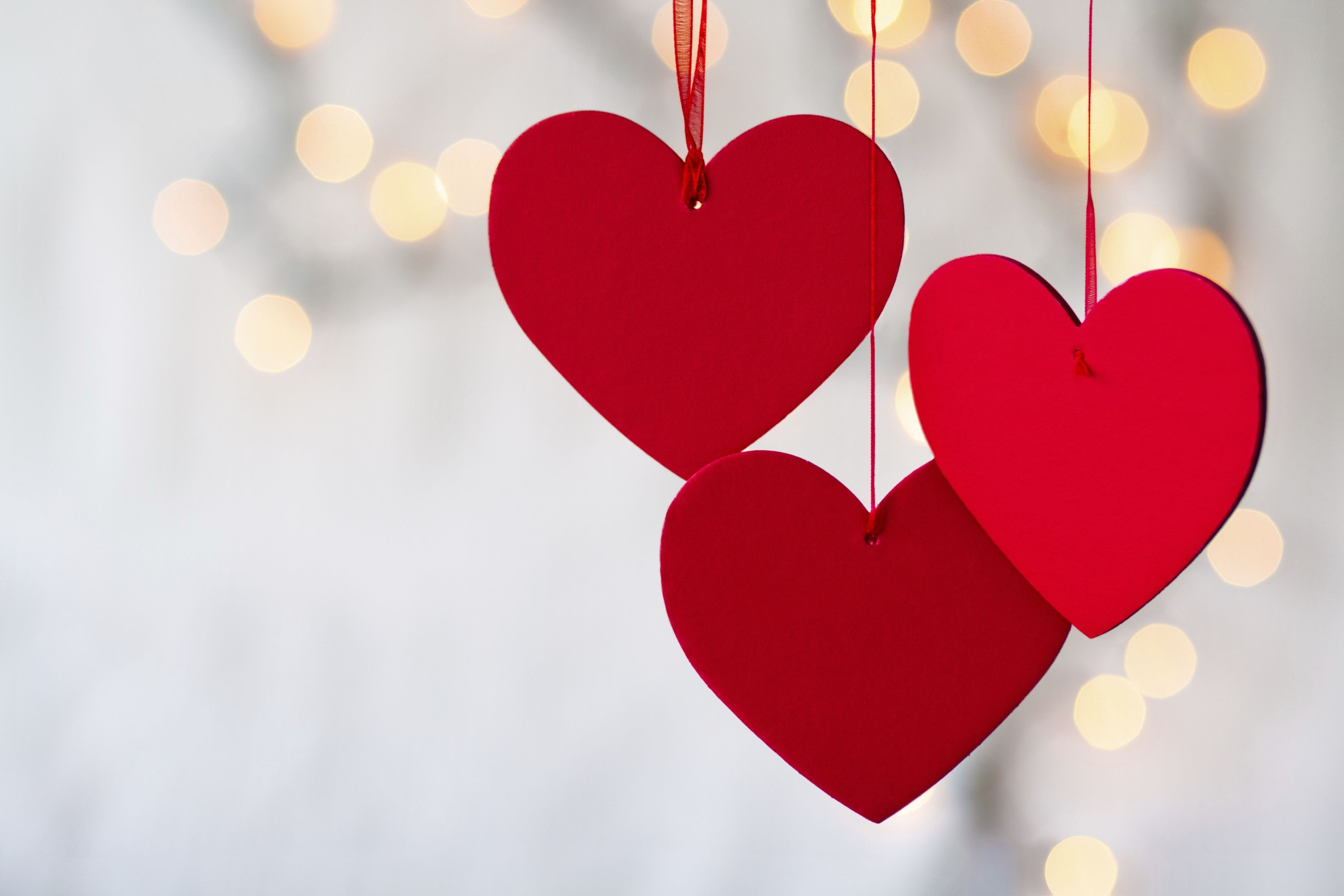 33 Free Valentines Day Wallpapers and Backgrounds  Picsart Blog