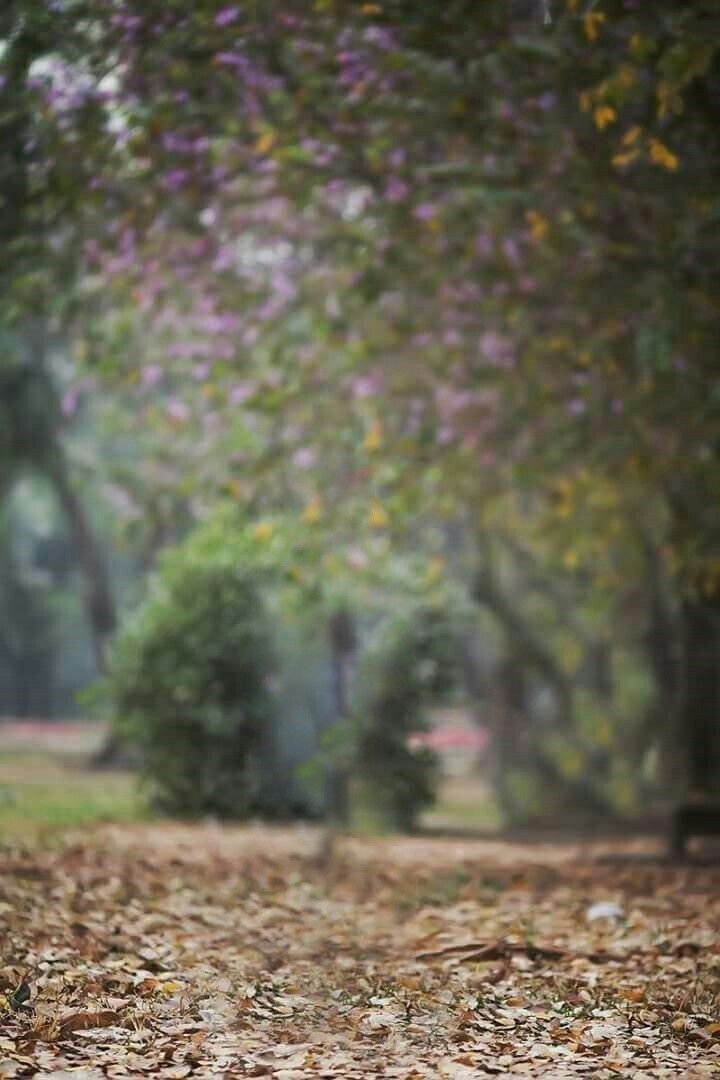 Asu Bhadela On With Image Blur Background
