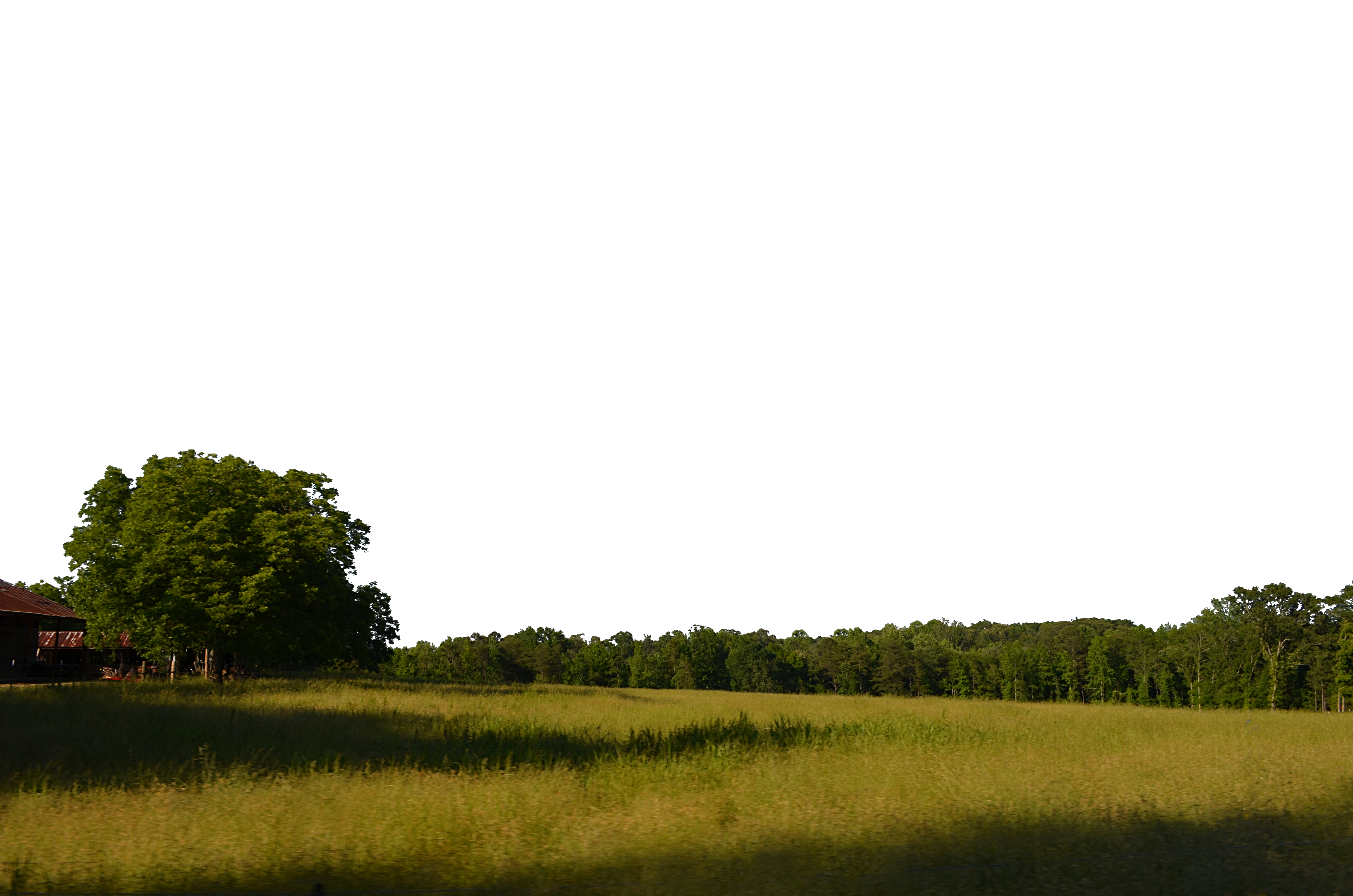 Field And Trees Background Png Stock Copy By
