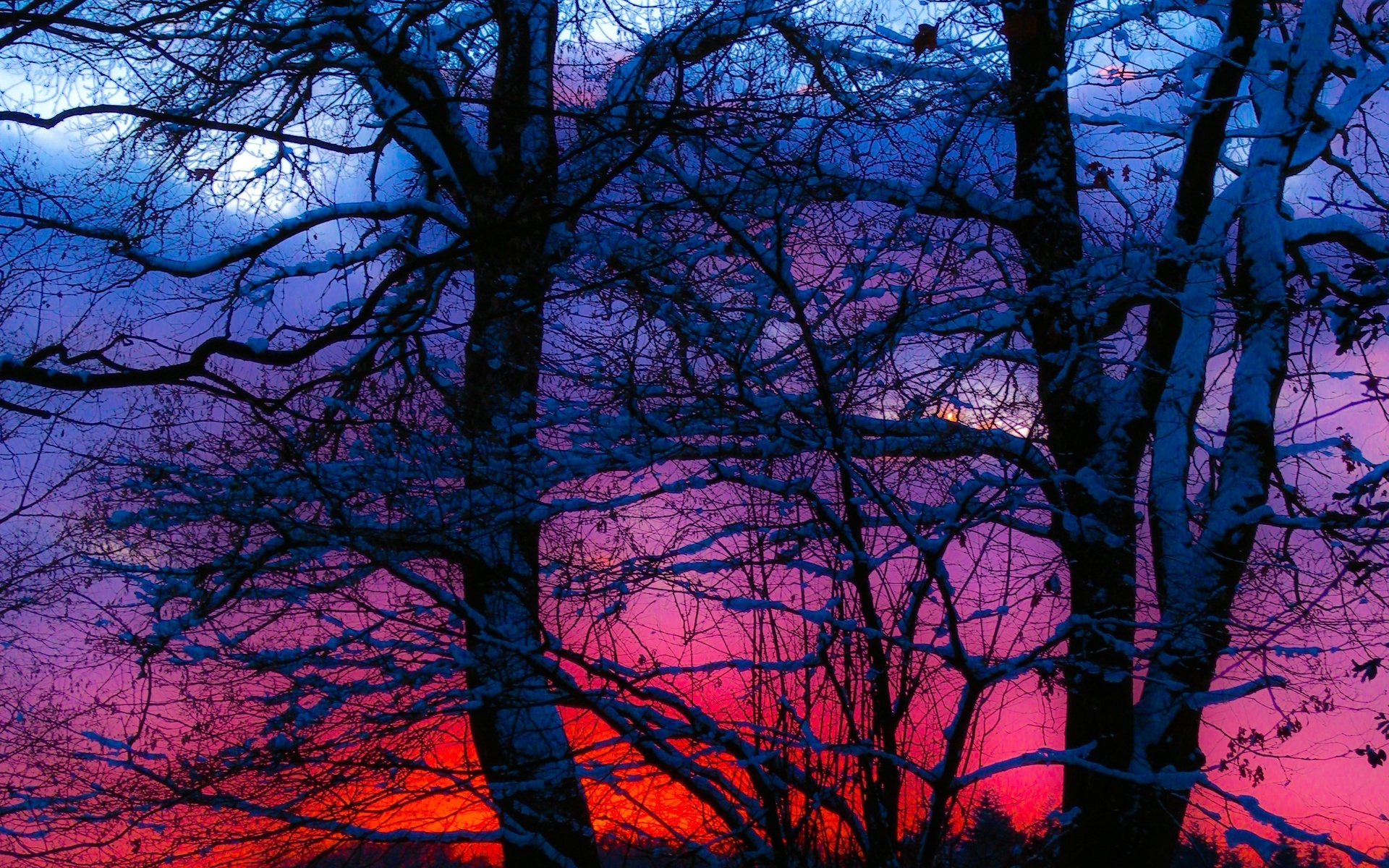 Winter Sunset Trees Snow Landscape Wallpaper