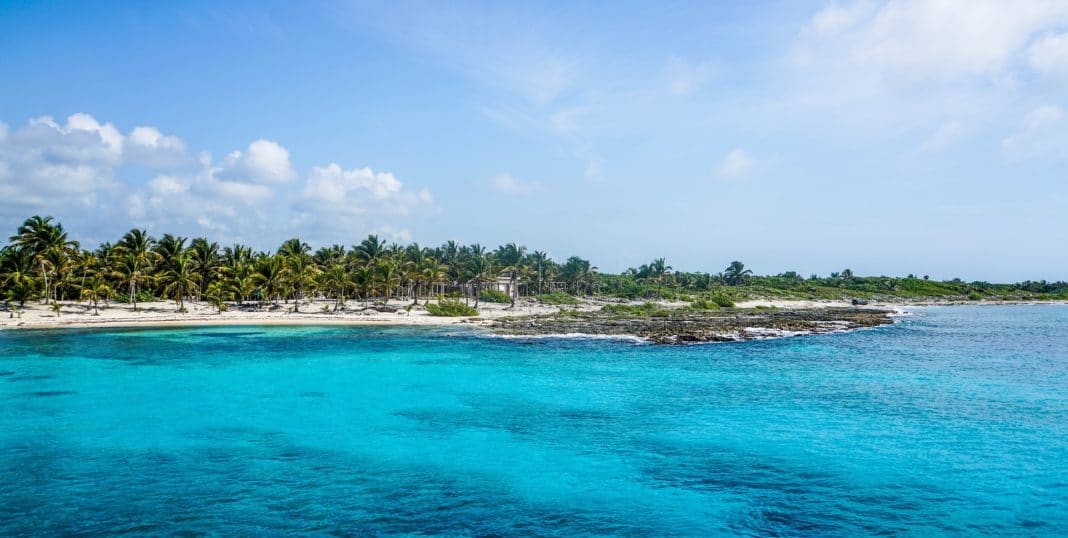 The Best Things To Do In Cozumel During Your Vacation Trekbible